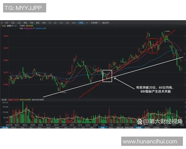 深圳羽毛球队战术揭秘:深度解析盯防策略与实战应用